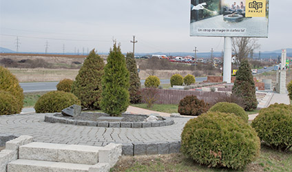 firma lucrari de asfaltare